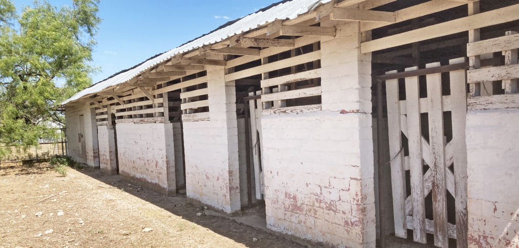 Horse farm area