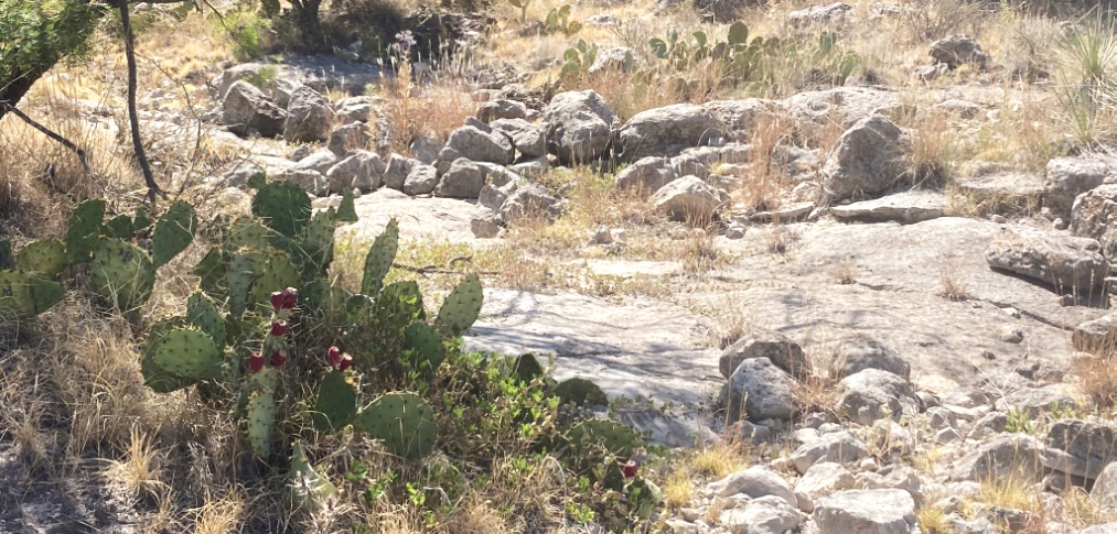 Ranch and rocks