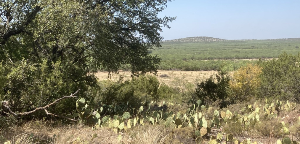 ranch greenery