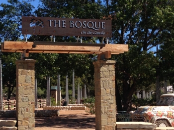 The bosque