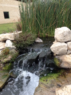 WATERFALL BY MUSEUM