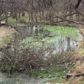 Mill Creek Ranch Owned by Nolan & Pam Veneble