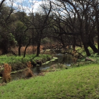 Ryland Howard's Head of the River Ranch