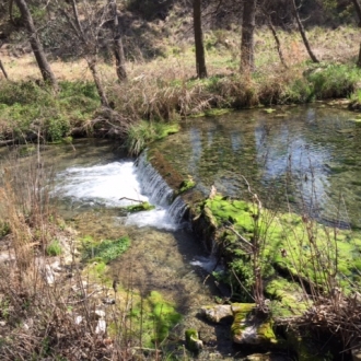 Ryland Howard's Head of the River Ranch