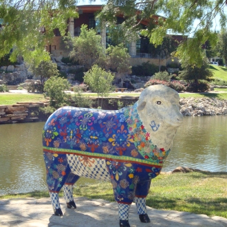 SHEEP ALONG CONCHO River