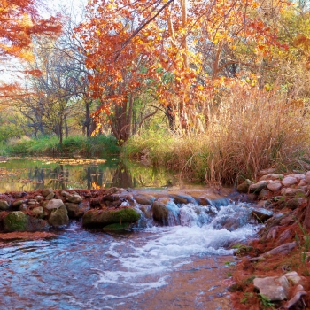 Autumn on Christoval River3